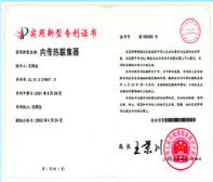 (ni)(lin)(zl01227867.x)